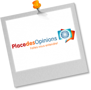 activité complémtentaire - sondage rémunéré : Place des opinions