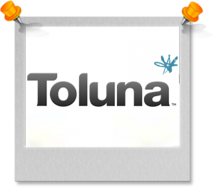 Toluna sondage rémunéré