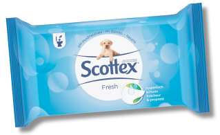 figure-language-scottex