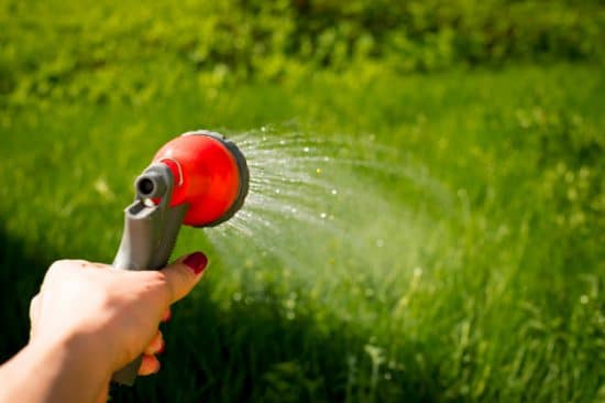 économiser l’eau du jardin