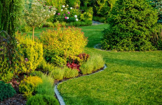 Comment avoir un jardin économique ?